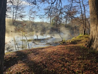 Riverbend on the Frio River