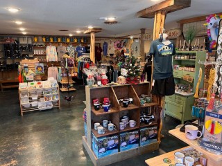 Riverbend on the Frio River