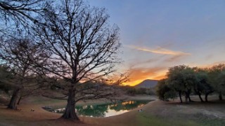 Riverbend on the Frio River