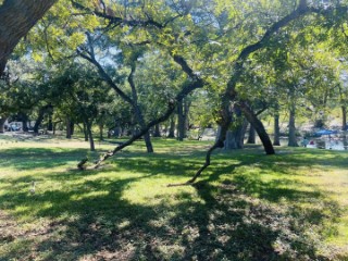 Riverbend on the Frio River