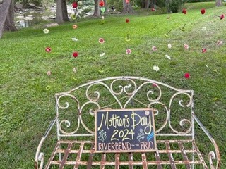 Riverbend on the Frio River