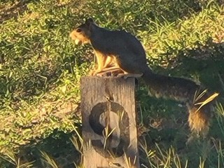 Riverbend on the Frio River