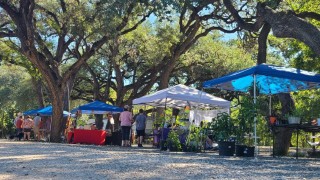 Riverbend on the Frio River