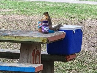 Riverbend on the Frio River