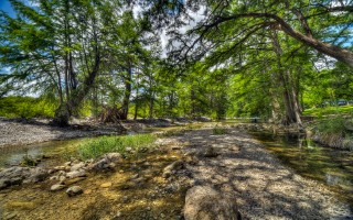 Cabins on the Frio River