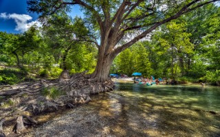 Cabins on the Frio River