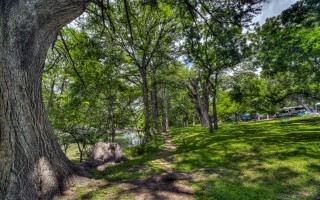 Cabins on the Frio River