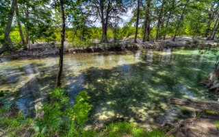 Cabins on the Frio River