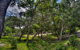 Cabins on the Frio River