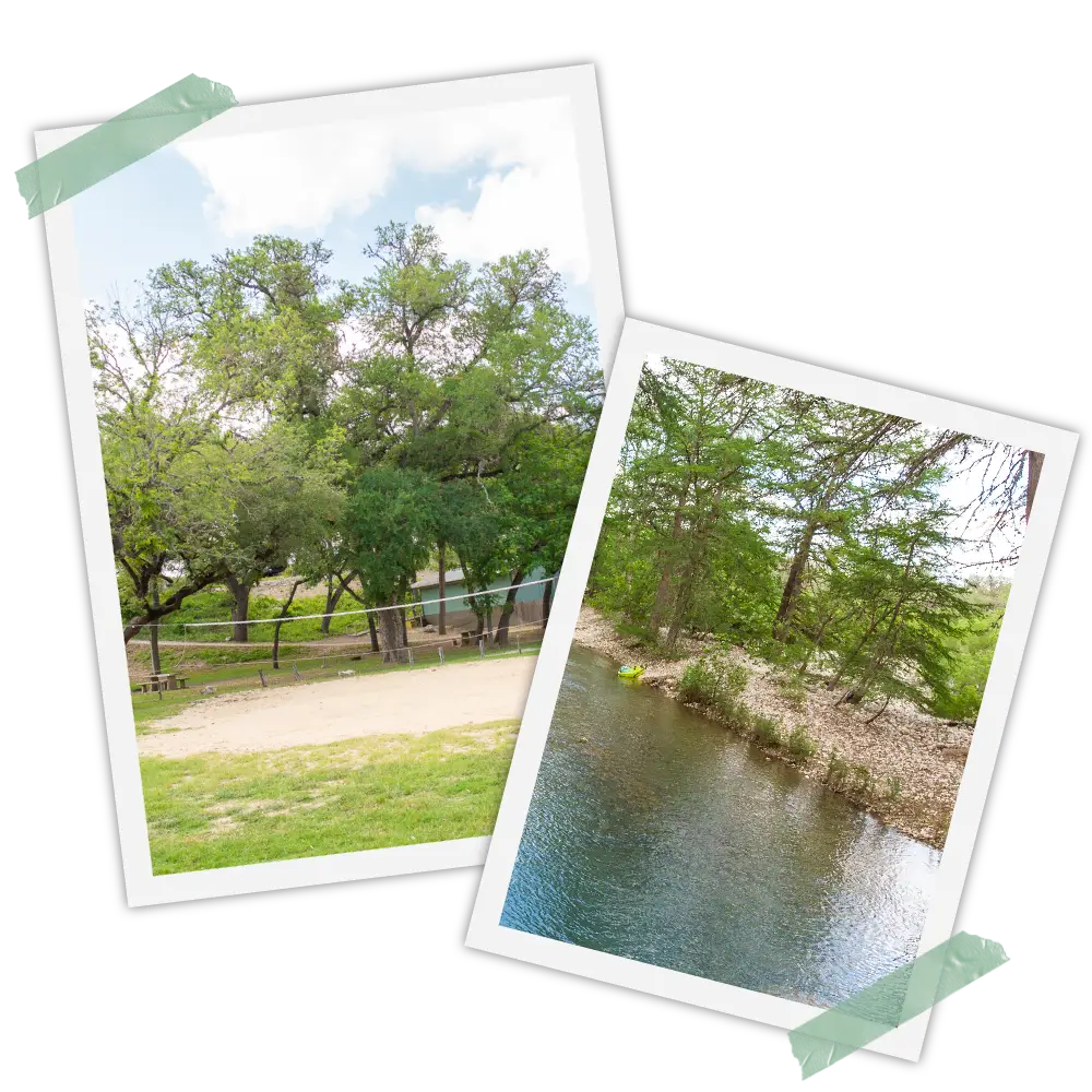 Two pictures of a park and trees with water