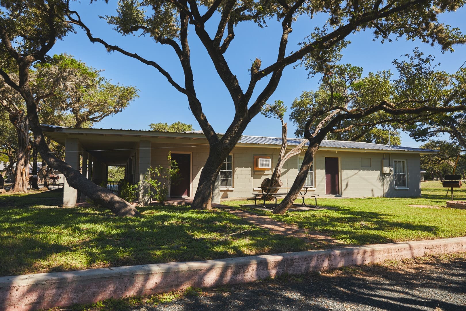 A house with a large tree in front of it.