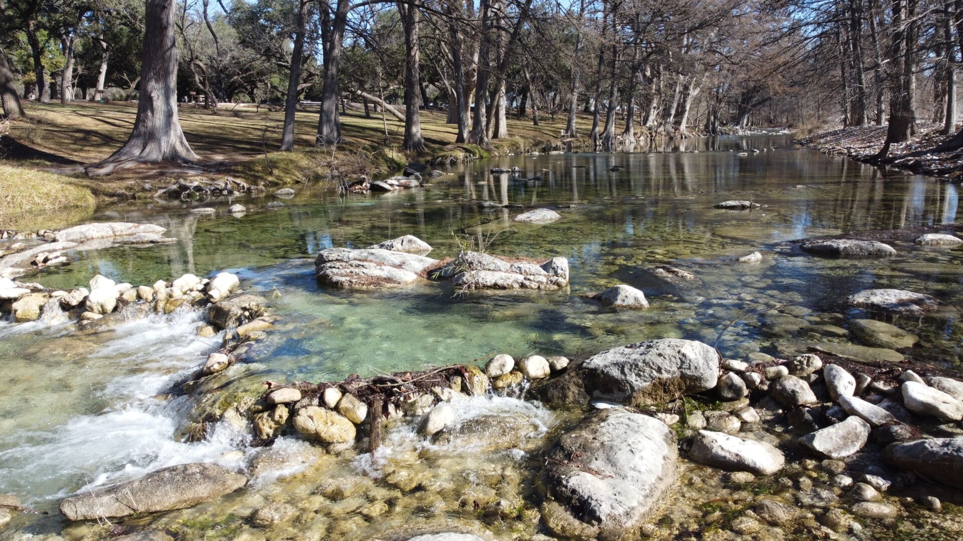 A river with rocks and trees in the background.