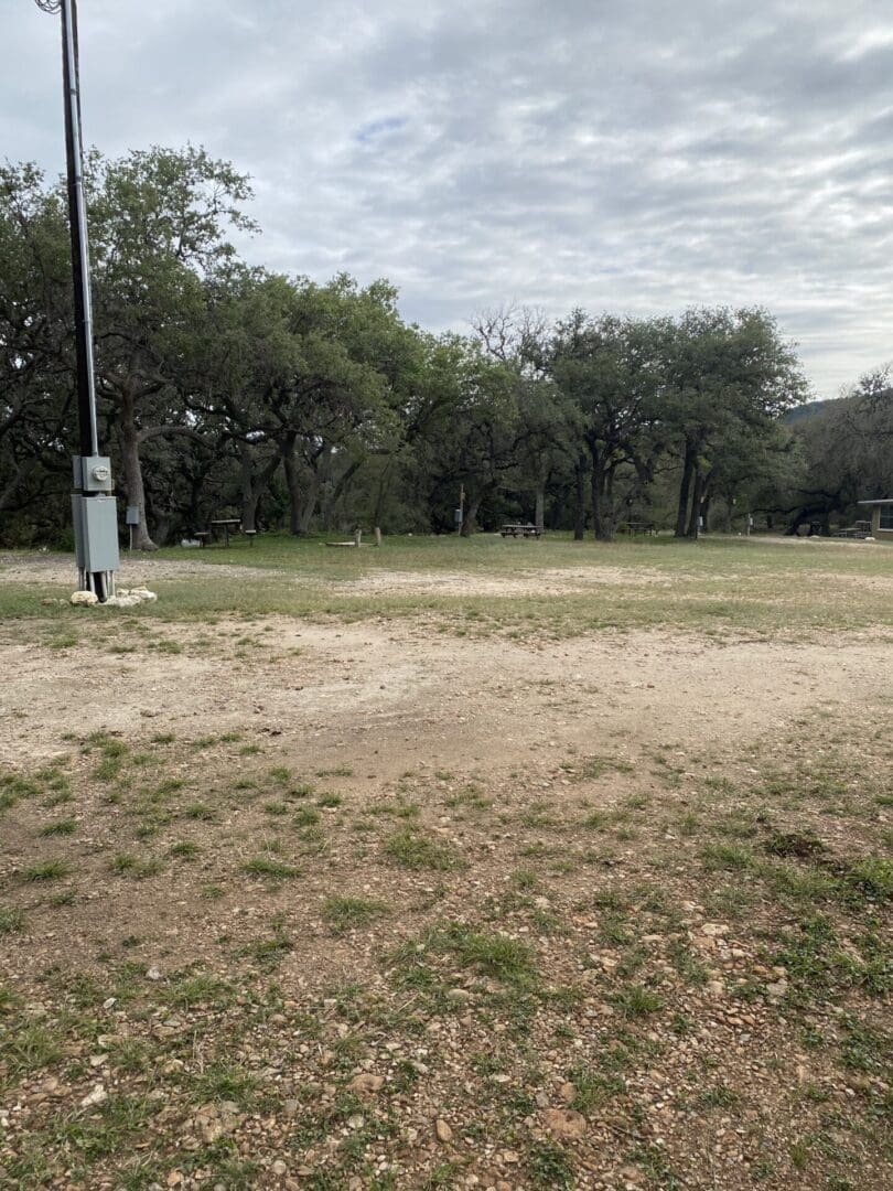 A field with trees and dirt in the background.