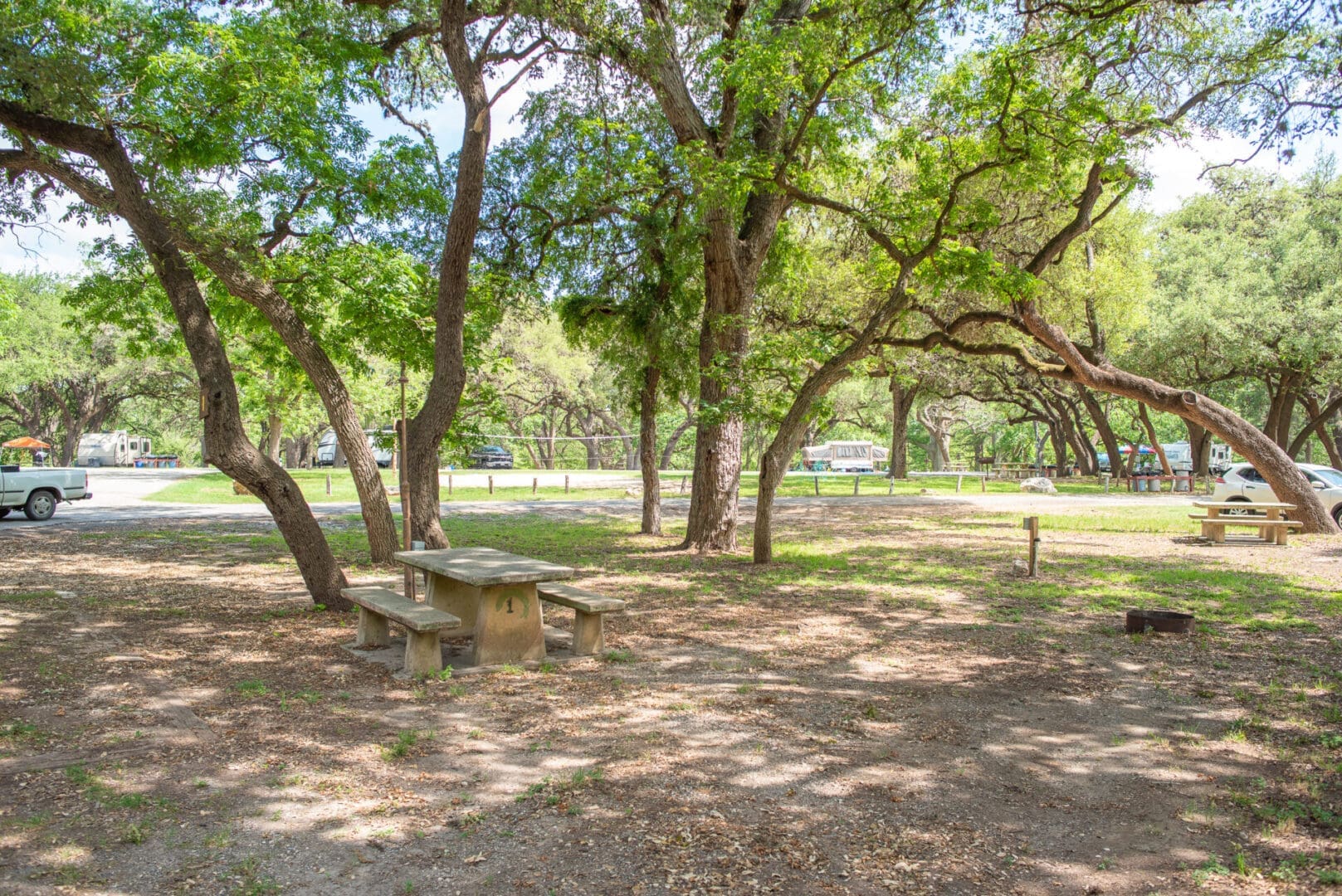 A park with trees and benches in the middle of it