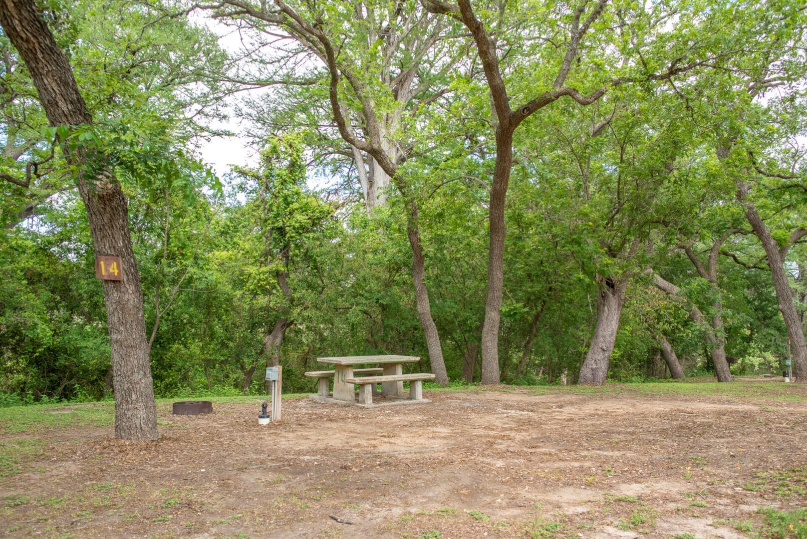 A picnic table in the middle of a wooded area.