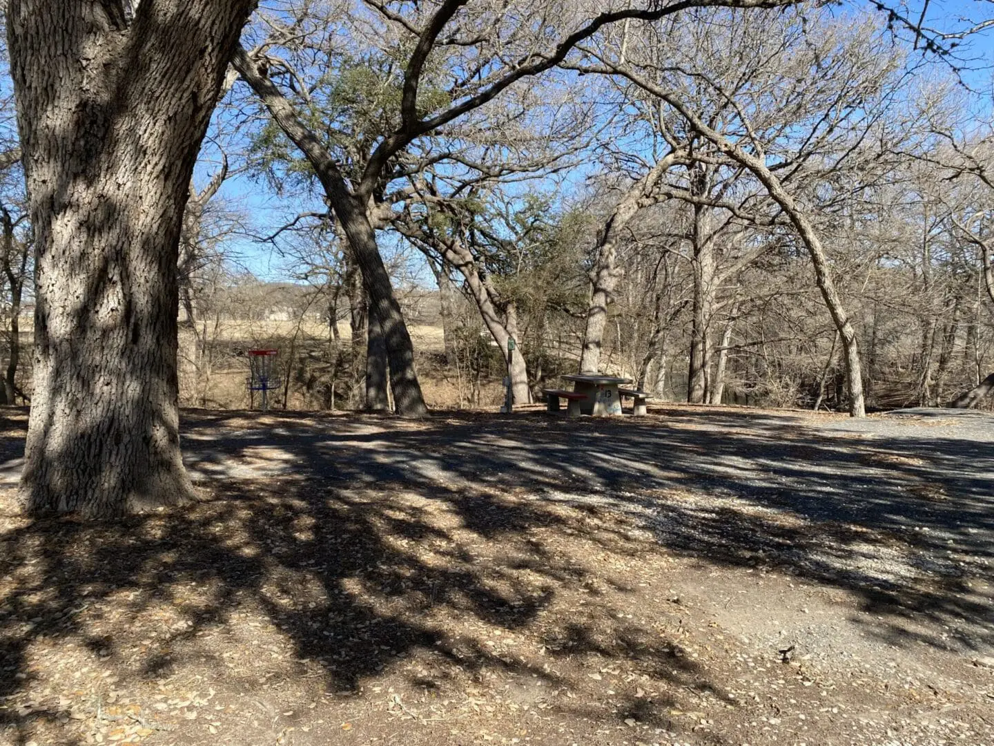 A field with trees and dirt ground