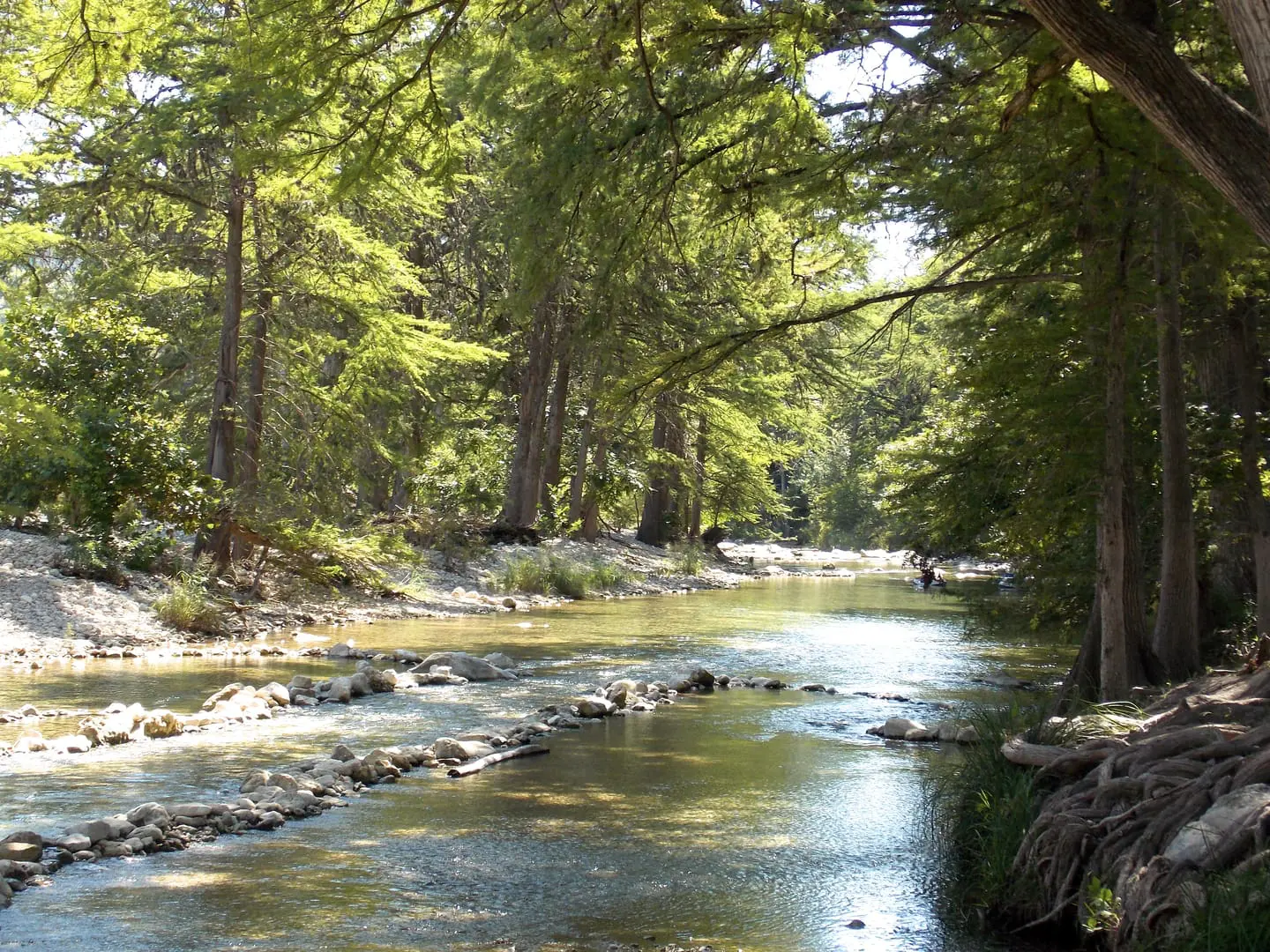 A river running through the middle of a forest.