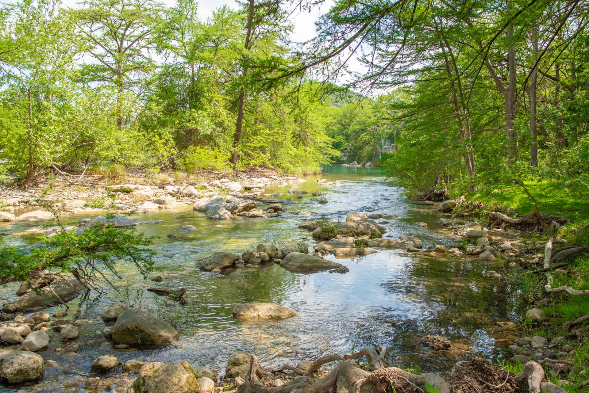 A stream running through the woods with rocks in it.