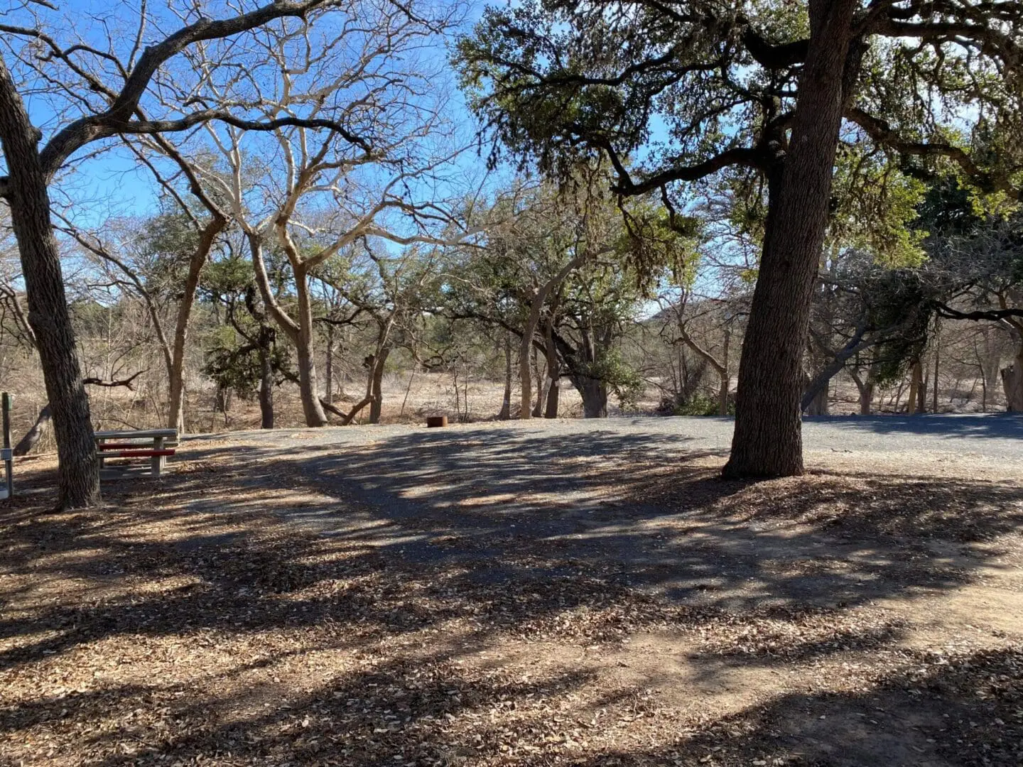 A field with trees and dirt in the foreground.