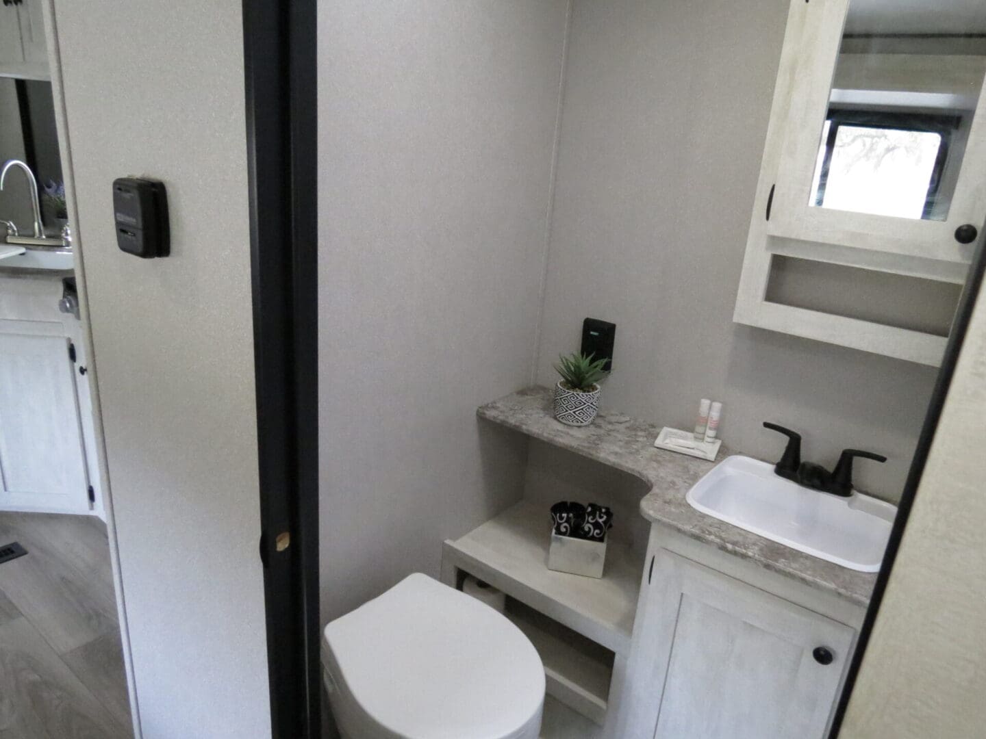 Interior of a compact bathroom featuring a white toilet, sink, countertop with a small potted plant, and mirrored cabinet.