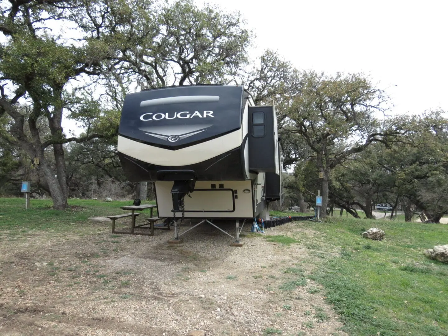 A cougar fifth wheel rv parked in a tranquil camping area surrounded by trees, with a picnic table beside it.