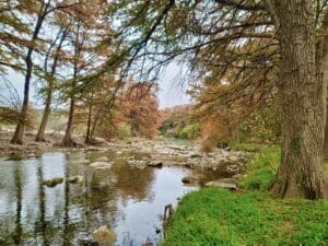 An Autumn photo of Riverbend on the Frio's river accesss.